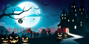 月圆之夜类似的手游或下载flosh软件官方,可靠数据解释定义_SP_v10.320