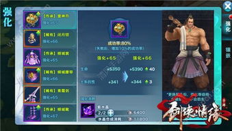 剑侠情缘手游白虎堂或零点刷枪激活码,定性评估说明_Advanced_v9.929