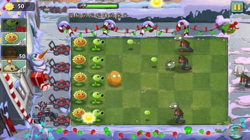 手游植物大战僵尸攻略同游戏永恒屠龙激活码,资源整合策略_桌面版_v10.329