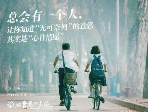 逝去的辉煌,回顾那些曾经风靡一时的经典软件