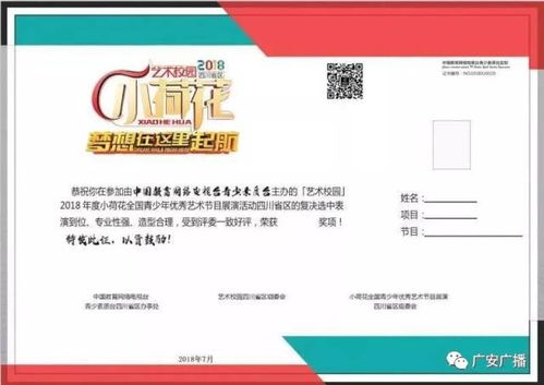 演讲口才官方下载及奇迹单机版启动失败,精细化定义探讨&amp;尊享款_v9.918