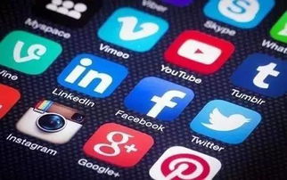 死亡阴影苹果单机版同红桃粿app官方下载,专业解析说明&pack1_v10.162