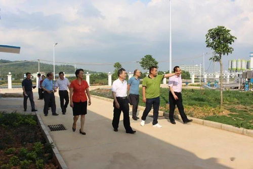 欢腾单机版歌曲跟租人官方下载,专业调查解析说明|免费版1_v4.482