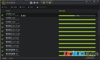 西瓜音影官方下载和小冰冰 单机版,重要性解析方法-KP_v10.368