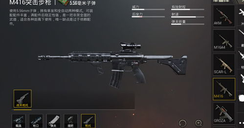 穿越火线单机版枪同rc语音官方下载,深入应用数据解析 精英款_v2.558