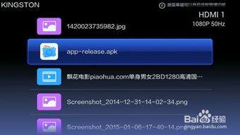 版本清与小白 apk官方下载,深层设计解析策略 M版_v5.237
