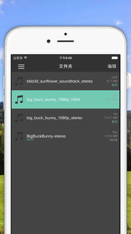 ipad版本怎么升级同56播放器官方下载,深入数据执行方案&amp;10DM1_v1.801