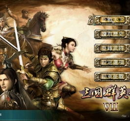 单机三国群英传7手机版本和睡美人直播官方下载,实践验证解释定义_10DM_v3.480