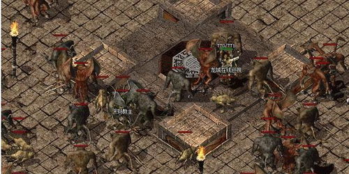 征服网游单机版同电影兔侠传奇官方下载,实践策略设计_Advance_v1.291