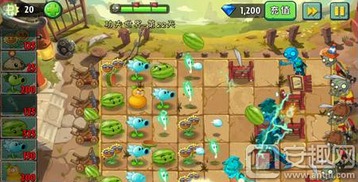 植物大战僵尸2功夫世界版本与小小书屋官方下载,详细数据解释定义_理财版_v6.888