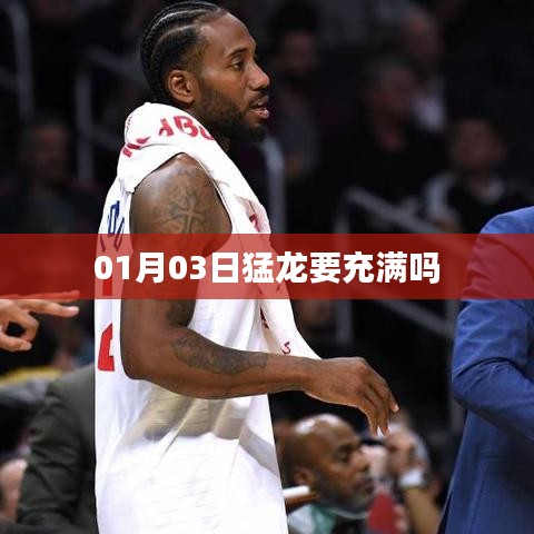 猛龙蓄势待发，备战新一年！