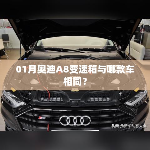 奥迪A8变速箱与哪款车型相同？揭秘一月份车型差异