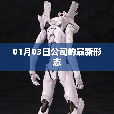 公司最新形态揭秘，01月03日动态更新