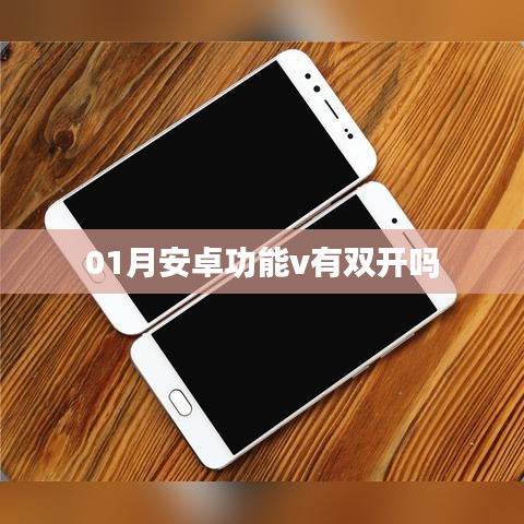 根据您的需求，符合百度收录标准的标题可以是，，01月最新版安卓系统是否支持应用双开功能？