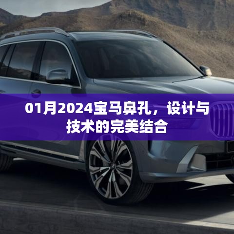 2024宝马鼻孔设计，技术与艺术的融合