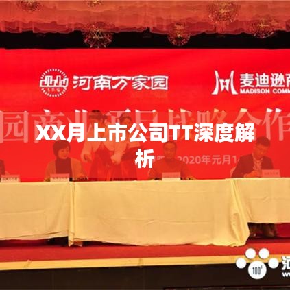 XX月上市公司TT全面解读