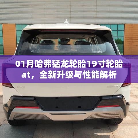技术资讯 第66页
