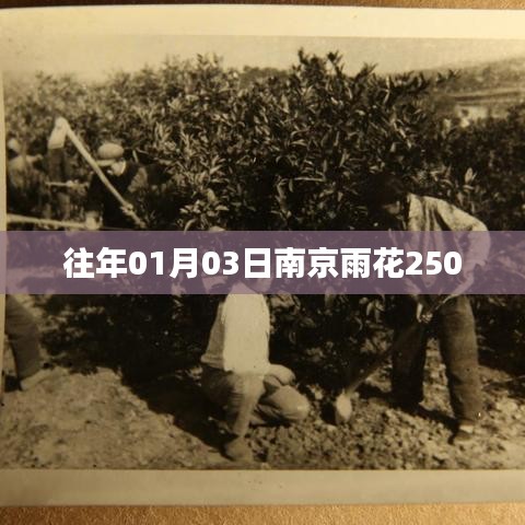 南京雨花台区往年1月3日天气回顾