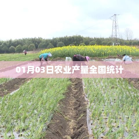 农业产量全国统计报告出炉，最新数据解析