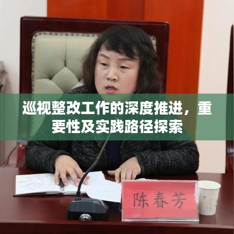 巡视整改工作的深度推进，重要性及实践路径探索