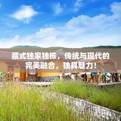 藏式独家独栋，传统与现代的完美融合，独具魅力！