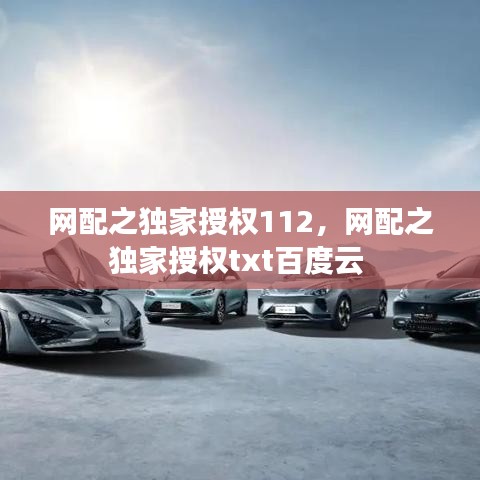 网配之独家授权112，网配之独家授权txt百度云 