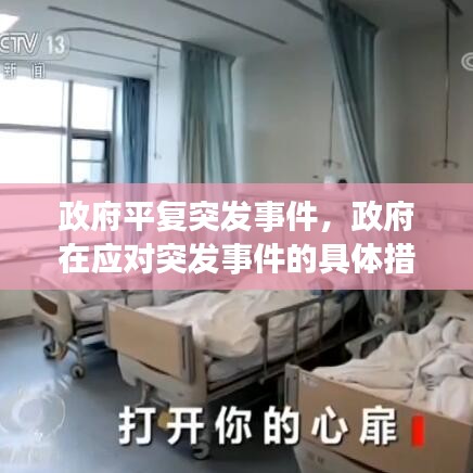 政府平复突发事件，政府在应对突发事件的具体措施 