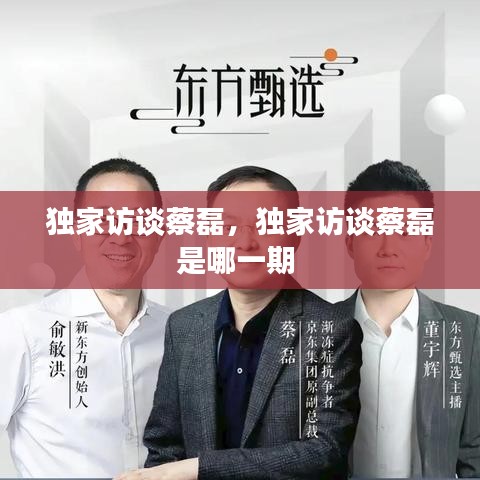 独家访谈蔡磊，独家访谈蔡磊是哪一期 