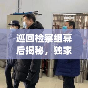 巡回检察组幕后揭秘，独家花絮与真实瞬间的探索