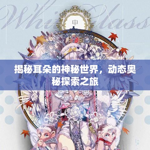 揭秘耳朵的神秘世界，动态奥秘探索之旅