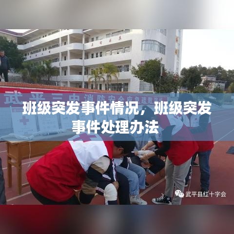班级突发事件情况，班级突发事件处理办法 