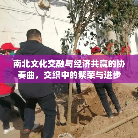 南北文化交融与经济共赢的协奏曲，交织中的繁荣与进步