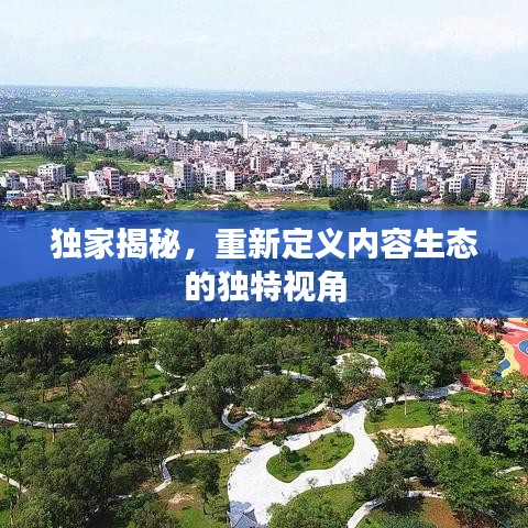 独家揭秘，重新定义内容生态的独特视角