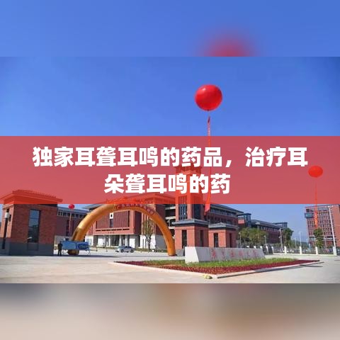 独家耳聋耳鸣的药品，治疗耳朵聋耳鸣的药 