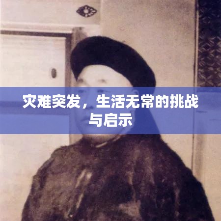 律所简介 第62页