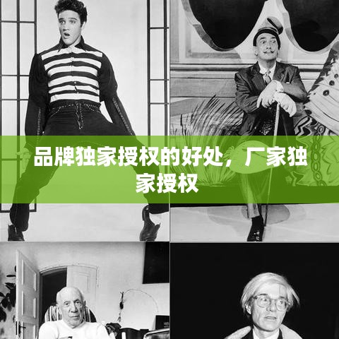 品牌独家授权的好处，厂家独家授权 