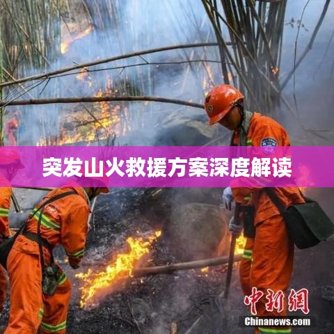 突发山火救援方案深度解读