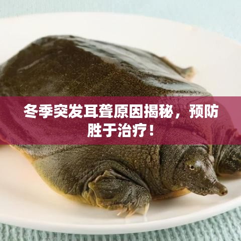 冬季突发耳聋原因揭秘，预防胜于治疗！