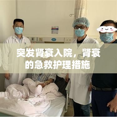 突发肾衰入院，肾衰的急救护理措施 