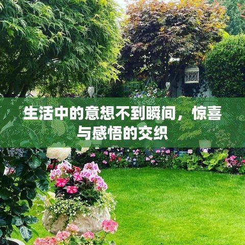 生活中的意想不到瞬间，惊喜与感悟的交织