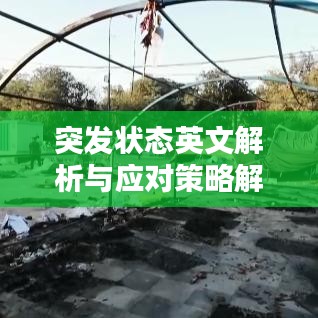 突发状态英文解析与应对策略解析