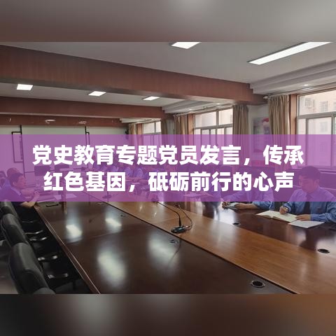 党史教育专题党员发言，传承红色基因，砥砺前行的心声