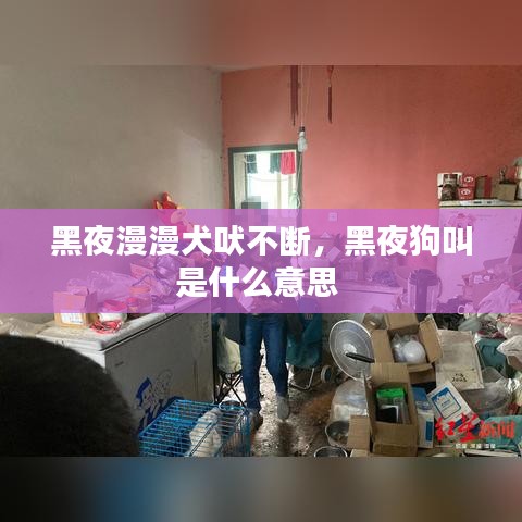 公司新闻 第60页