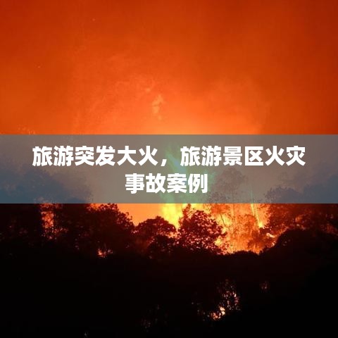 旅游突发大火，旅游景区火灾事故案例 