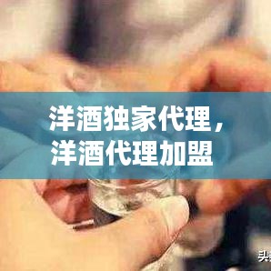 洋酒独家代理，洋酒代理加盟 