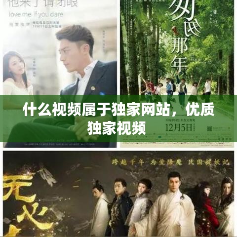 什么视频属于独家网站，优质独家视频 