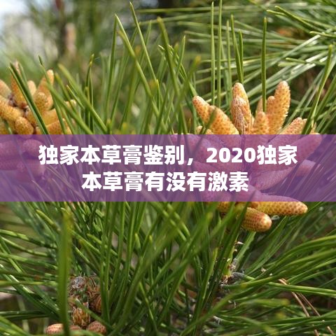 技术资讯 第61页