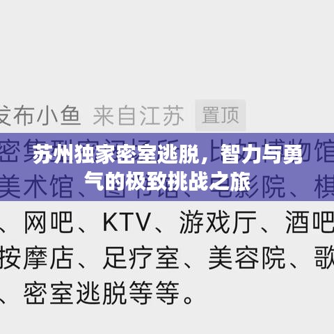 苏州独家密室逃脱，智力与勇气的极致挑战之旅