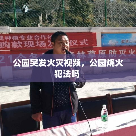 公园突发火灾视频，公园烧火犯法吗 