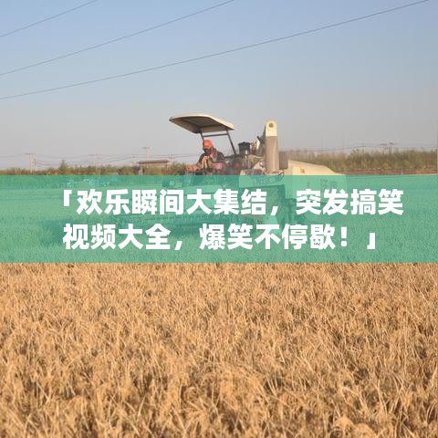 「欢乐瞬间大集结，突发搞笑视频大全，爆笑不停歇！」